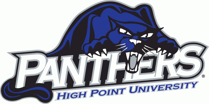 High Point Panthers 2004-2011 Primary Logo DIY iron on transfer (heat transfer)